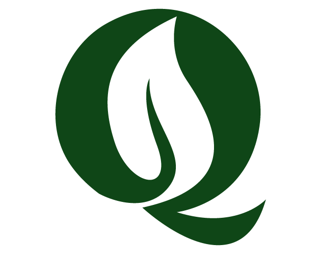 QUANTAM minds solution logo